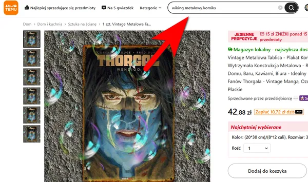Temu, gadżety komiksowe i polskie prawo. Co grozi za kupowanie podróbek?